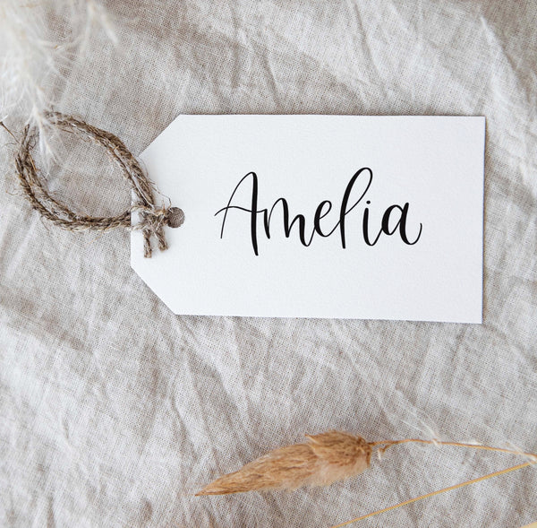 Calligraphy luggage label